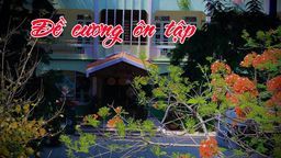 Đề cương ôn tập HKII năm học 2019 - 2020