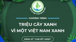 Triệu cây xanh - Vì một Việt Nam xanh
