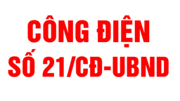 Công điện số 21/CĐ-UBND Thành phố Hà Nội