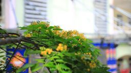 Cảm xúc tháng 5