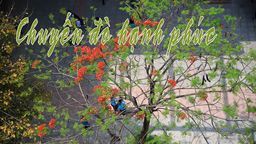 Chuyến đò hạnh phúc