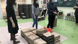 Giải cứu trứng gà Hải Dương – hành động đẹp!