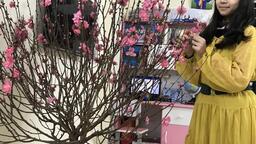 Tết đến xuân về