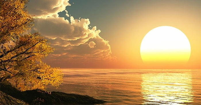 Thơ ca trong trái tim tuổi trẻ