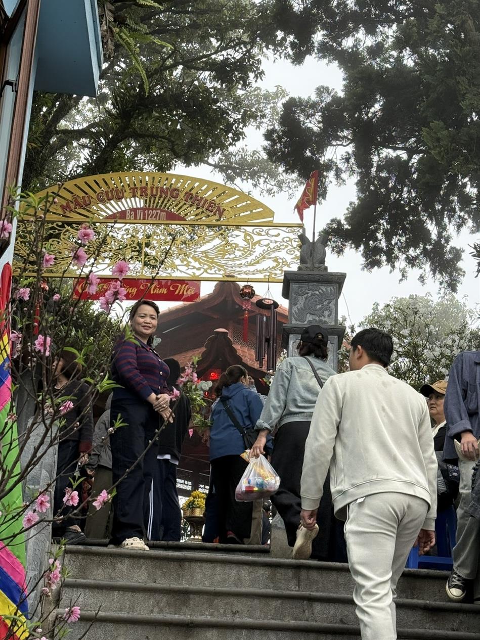 Hành trình tìm về cội nguồn