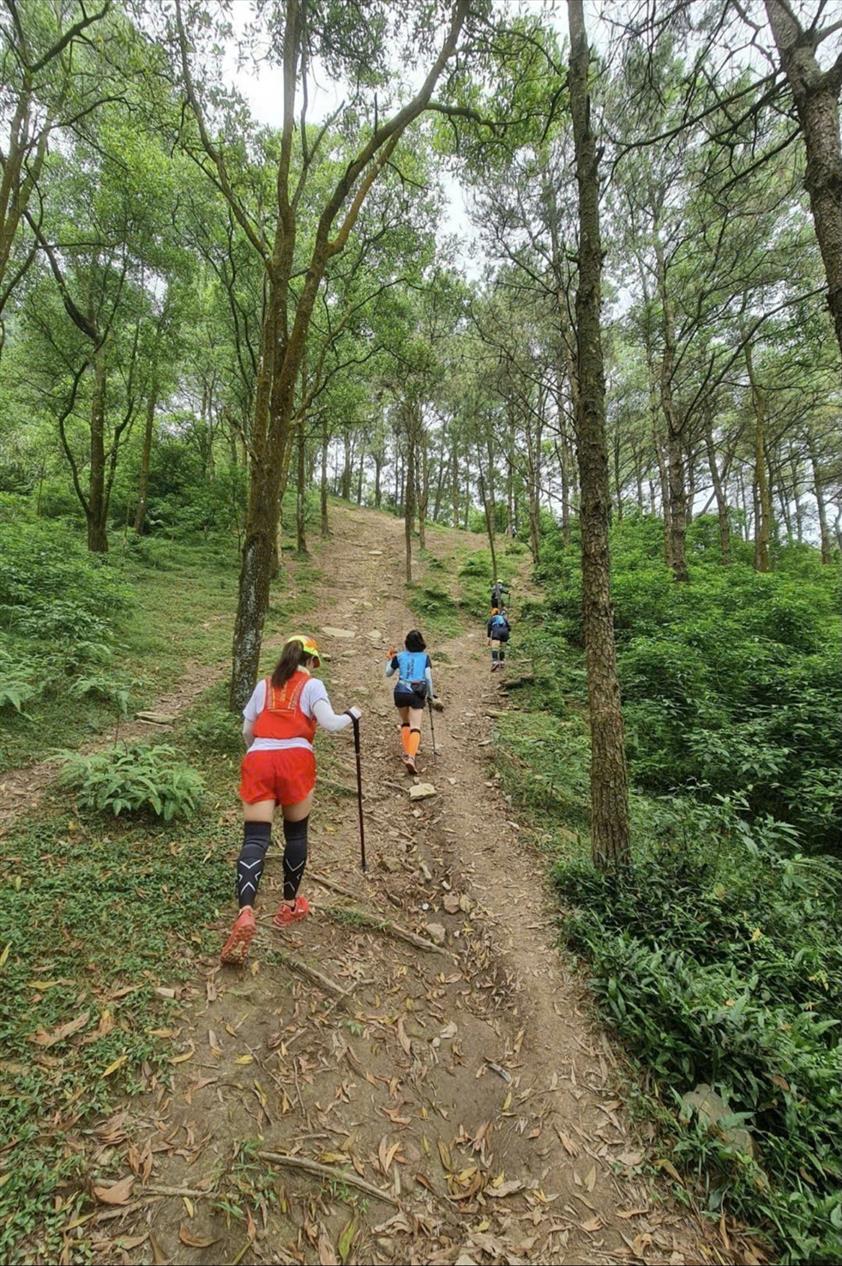 Nơi gió núi kể câu chuyện của tôi