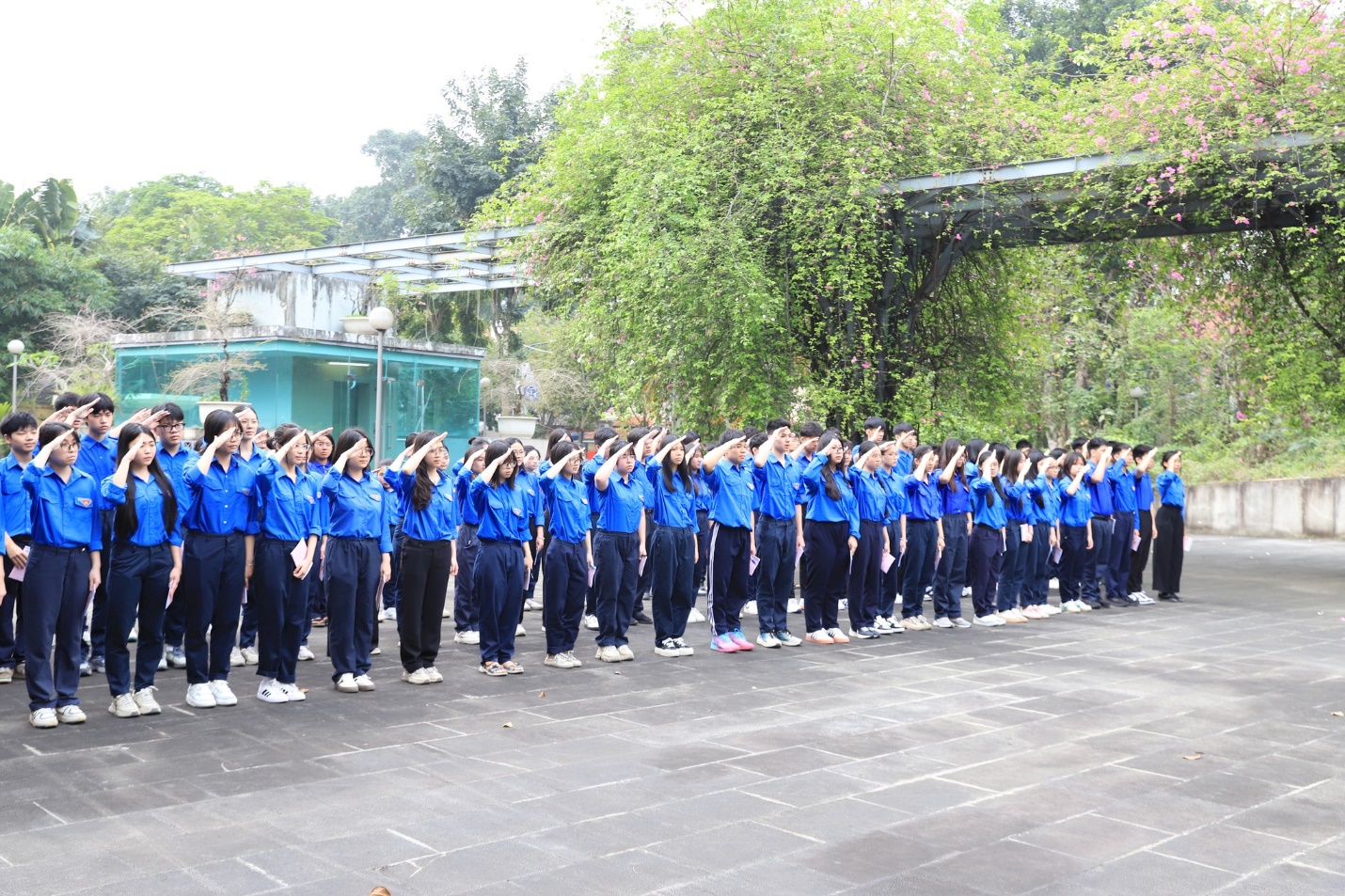 Có thể là hình ảnh về văn bản