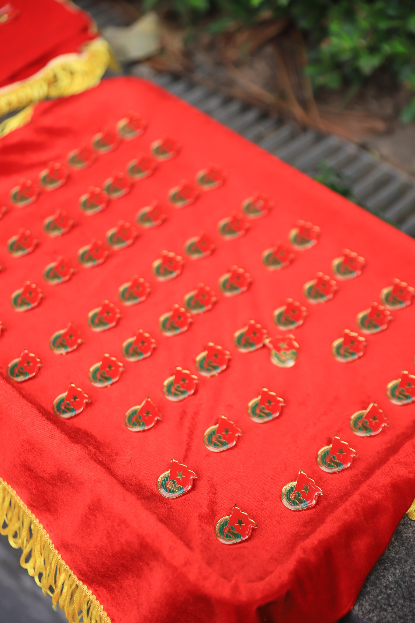 Có thể là hình ảnh về văn bản