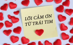 https://tingenz.com/wp-content/uploads/2022/11/hinh-anh-loi-cam-on-tu-trai-tim-4-min-300x185.jpg